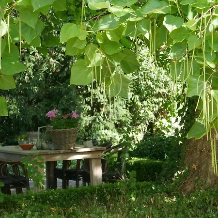 Rezonans דירה Warnsveld