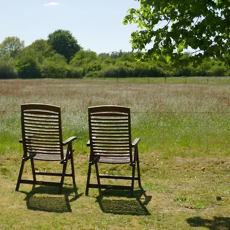 Rezonans * Warnsveld