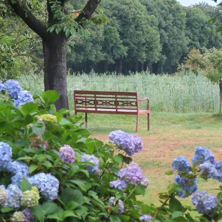 Rezonans Warnsveld