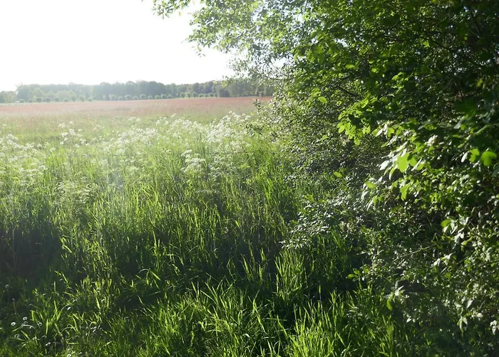 アパート Rezonans *