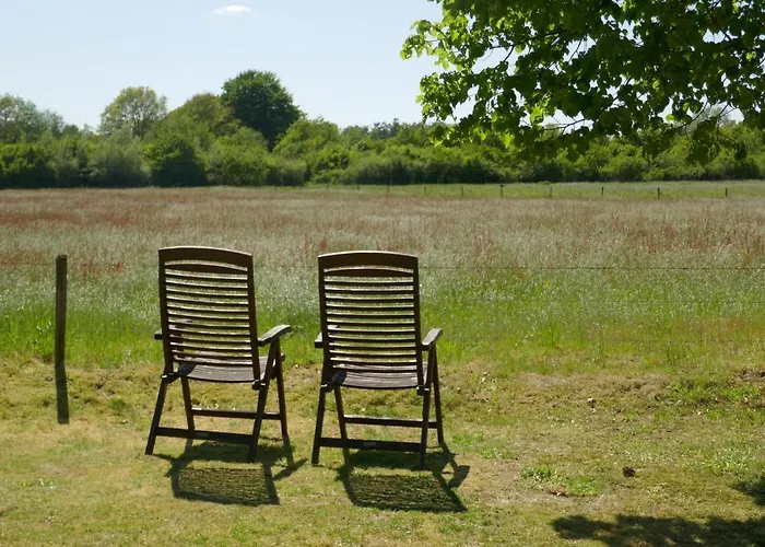 Rezonans * Warnsveld