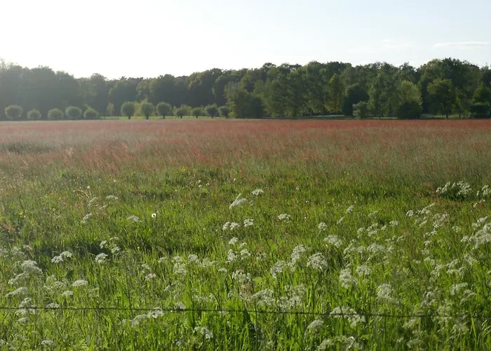 アパート Rezonans *