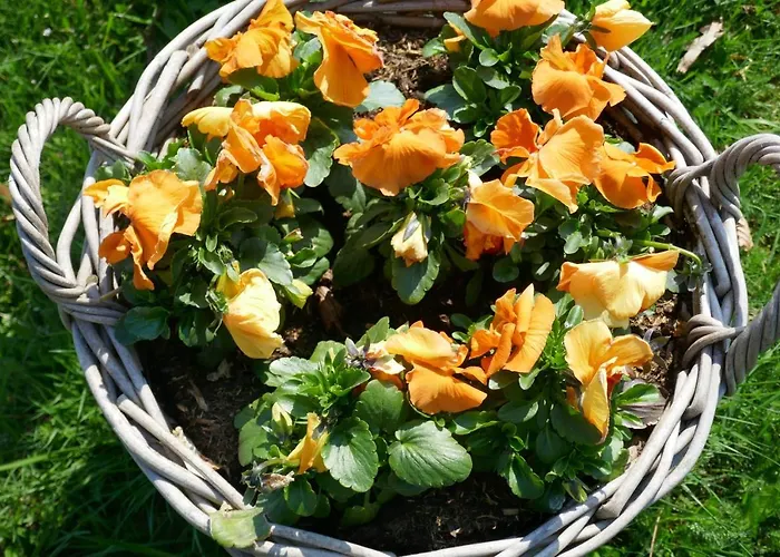 Rezonans アパート Warnsveld