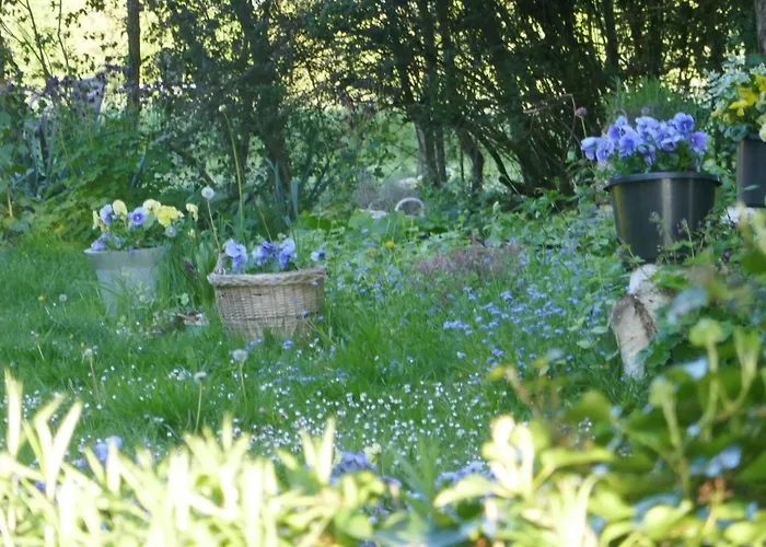 Rezonans * Warnsveld