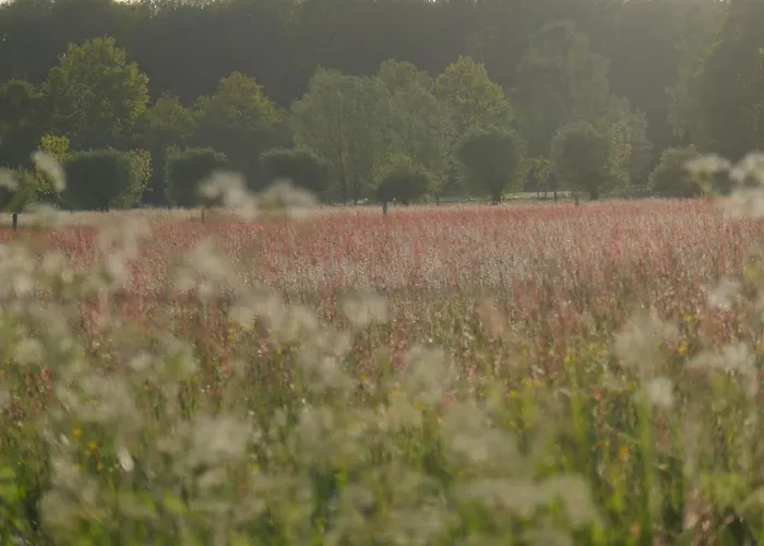 Rezonans アパート *