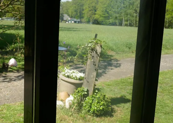 Rezonans * Warnsveld